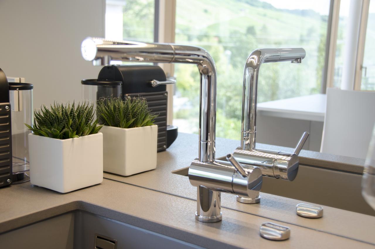 Lumina Apartments Ingelfingen Екстериор снимка